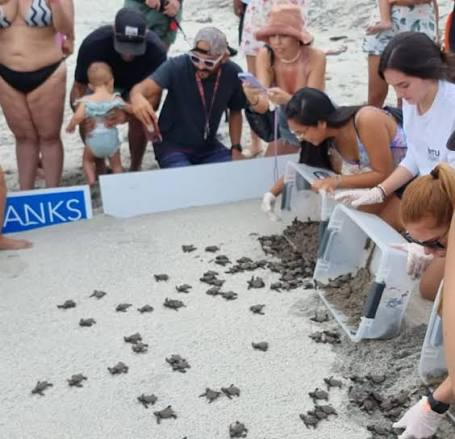 Liberación de tortugas con TortuBanks